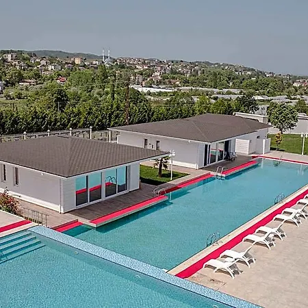 The Oasis Hotel