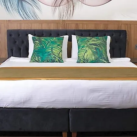 The Oasis 4*